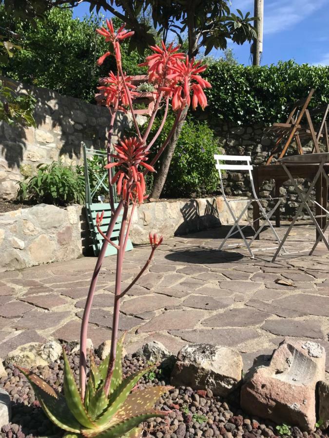 Bed & Breakfast B.e.a. Maison